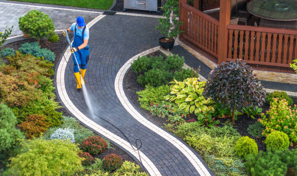 Best Sidewalk Pressure Washing  in Robersonville, NC